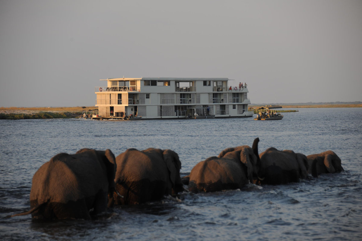 Zambezi Queen Aussenansicht mit Elefanten