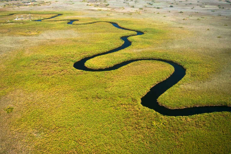 a winding river in a grassy area